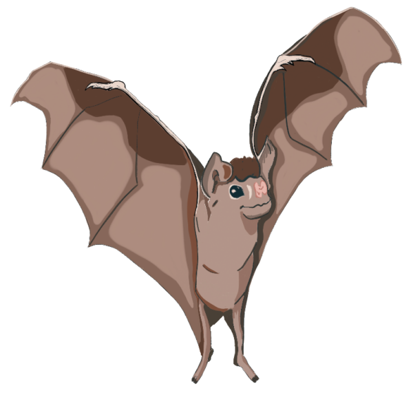 Bat Sticker