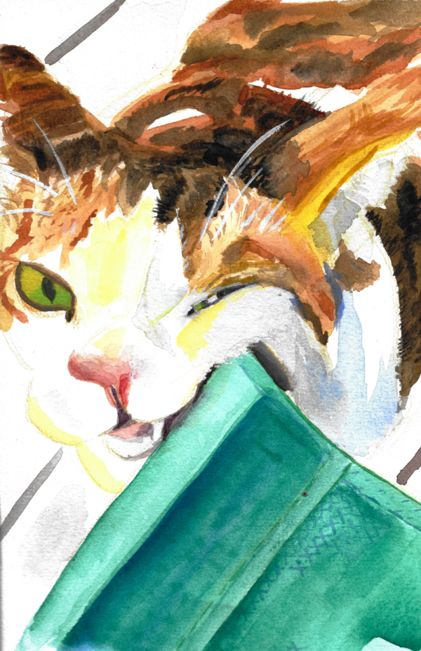 A watercolor piece of a brown, red, black, and white cat rubbing her gums against a green chair.