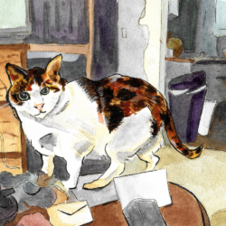A calico cat stands on a coffee table in the middle of a small apartment, done in watercolor and ink pen.