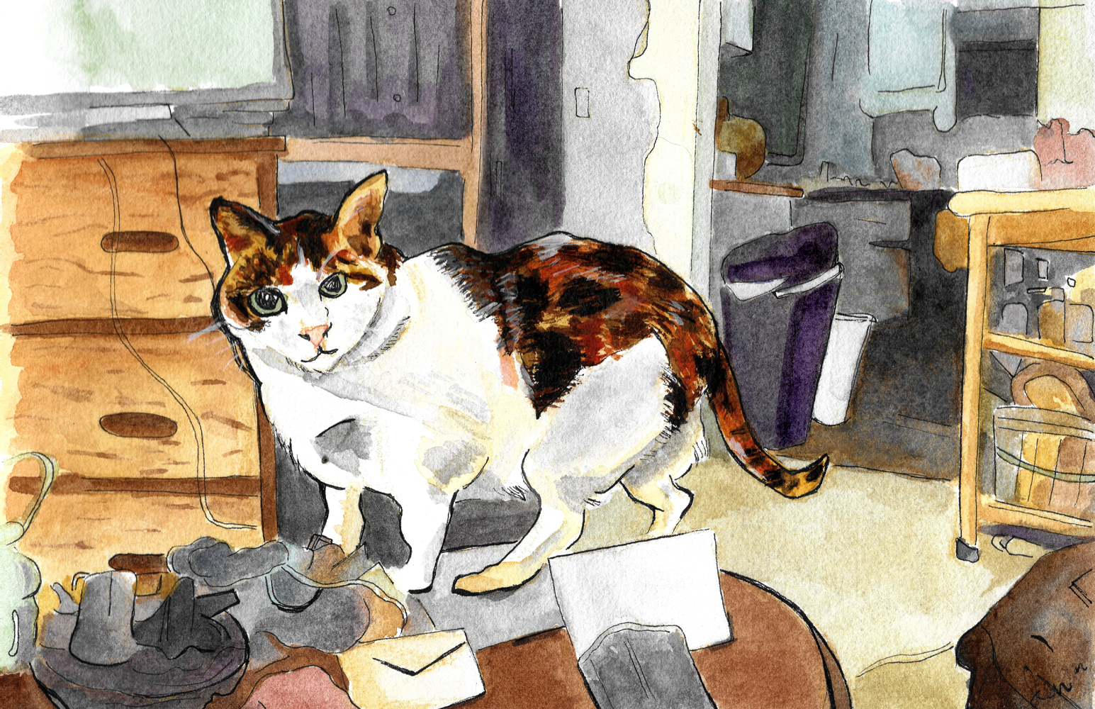 A calico cat stands on a coffee table in the middle of a small apartment, done in watercolor and ink pen.