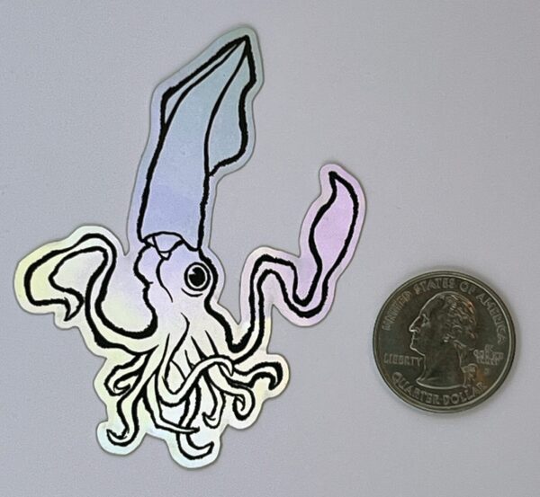 Holographic Squids