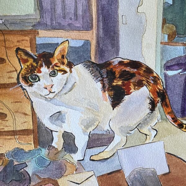Guilty Cat Postcard