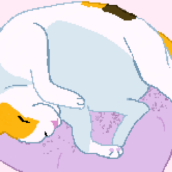 A calico cat, sleeping on its back on a purple bed with a pink background done in pixel art style