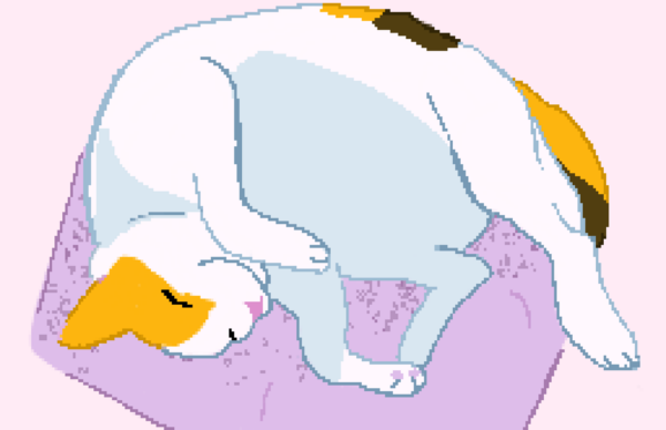 A calico cat, sleeping on its back on a purple bed with a pink background done in pixel art style
