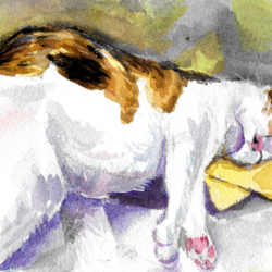 Watercolor art style of a calico cat sleeping on a pillow, with a green background.