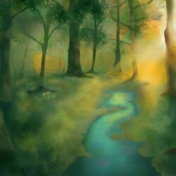 Forest Light Postcard