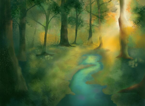 Forest Light Postcard