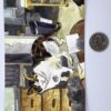 Guilty Cat Postcard - Image 2