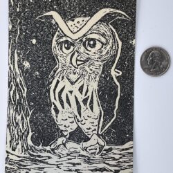 Owl Postcard